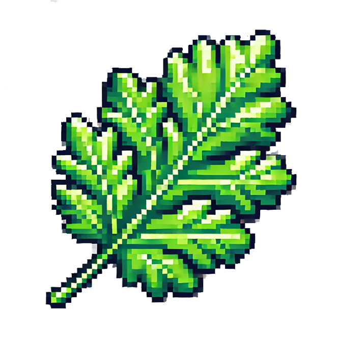 Coriander